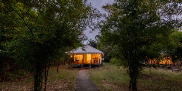 Hotels in Kanha National Park