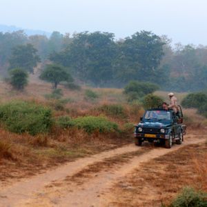 Panna National Park