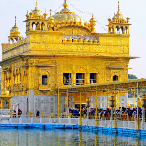 7 Days Golden Triangle Tour with Amritsar