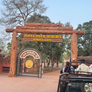 6-Day Khajuraho, Panna Tiger Safari & Agra Tour from Delhi